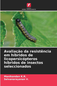 Avaliação da resistência em híbridos de licopersicópteros híbridos de insectos seleccionados