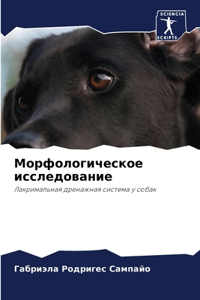 Морфологическое исследование