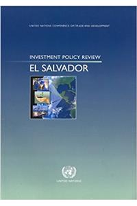 Investment Policy Review