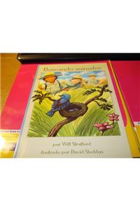 Reading 2011 Spanish Independent Reader Grade K.2.3 Buscando Animales