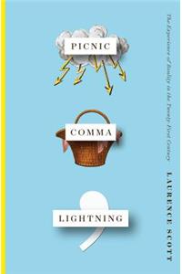 Picnic Comma Lightning