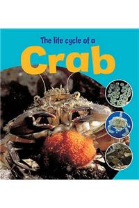 Learning About Life Cycles: The Life Cycle of a Crab