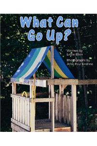 Ready Readers, Stage 0/1, Book 38, What Can Go Up?, Big Book