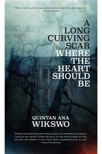 A Long Curving Scar Where The Heart Should Be