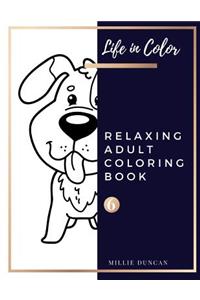 RELAXING ADULT COLORING BOOK (Book 6)