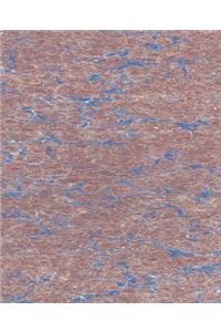 School Composition Book Abstract Old Fashioned Marbleized Design