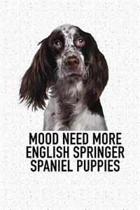 Mood Need More English Springer Spaniel Puppies