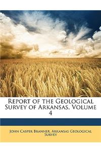 Report of the Geological Survey of Arkansas, Volume 4