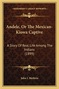Andele, or the Mexican-Kiowa Captive
