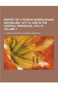Report of a Tour in Bundelkhand and Malwa, 1871-72, and in the Central Provinces, 1873-74 Volume 7