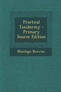 Practical Taxidermy