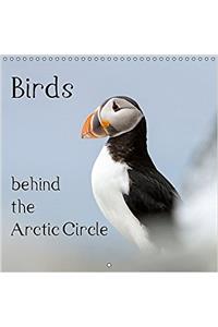 Birds Behind the Arctic Circle 2017