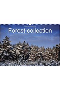 Forest Collection 2017