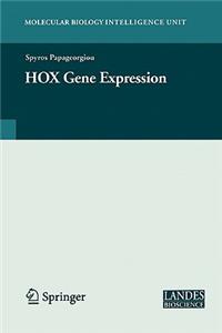 HOX Gene Expression