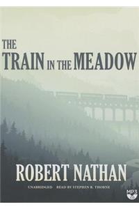 Train in the Meadow