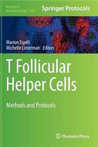 T Follicular Helper Cells