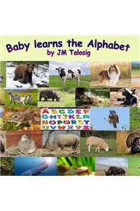 Baby Learns the Alphabet