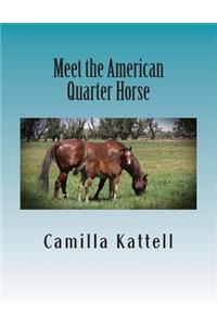 Meet the American Quarter Horse