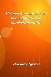 Promovarea Afacerilor Prin Campanii de Marketing Online