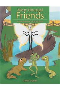 Most Unusual Friends