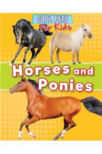 Horses and Ponies