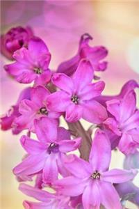 Dreamy Pink Hyacinths Flower Journal