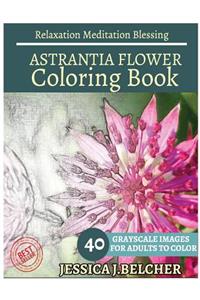 ASTRANTIA FLOWER Coloring book for Adults Relaxation Meditation Blessing