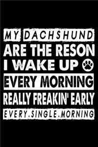 My Dachshund Are The Reason I Wake Up Every Morning Really Freakin. Early Every.Single.Morning.