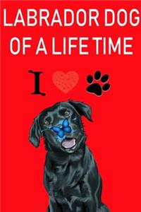 LABRADOR DOG OF A LIFE TIME - Notebook