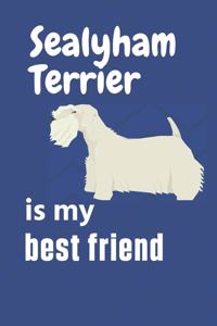 Sealyham Terrier is my best friend