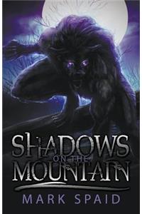 Shadows on the Mountain