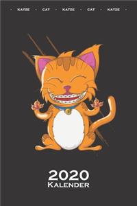 Katze mit Zahnspange Kalender 2020