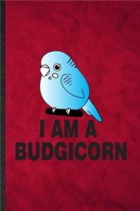 I Am a Budgicorn