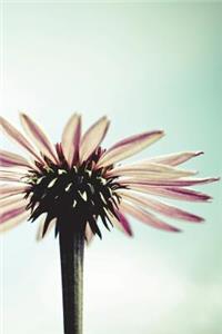 Coneflower In Summertime Light - Lined Notebook with Margins - 6X9
