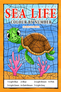 Sea Life Colour By Number