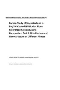 Raman Study of Uncoated and P-Bn/Sic-Coated Hi-Nicalon Fiber-Reinforced Celsian Matrix Composites. Part 1; Distribution and Nanostructure of Different Phases