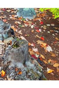 School Composition Book Fall Foliage Leaves Ground Tree Stump 130 Pages