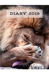Diary 2019