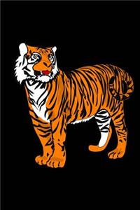 Tiger Sketchbook