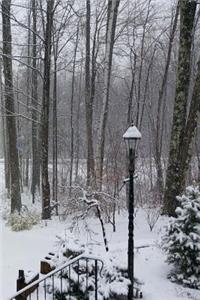 2019 Weekly Planner Winter Day Cold Snowy 134 Pages