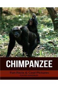 Chimpanzee: Fun Facts & Cool Pictures