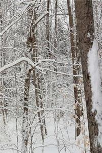 2019 Daily Planner Winter Scenic Photo 384 Pages