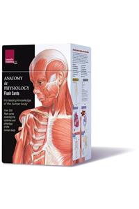 Anatomy & Physiology Flash Cards