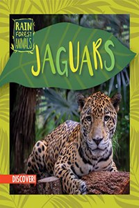 Jaguars
