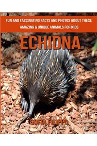 Echidna