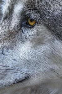 Wolf Notebook