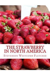 Strawberry In North America
