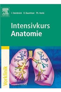 Intensivkurs Anatomie