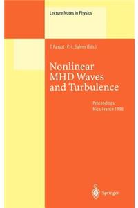 Nonlinear Mhd Waves and Turbulence