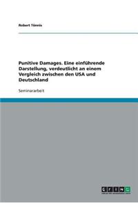 Punitive Damages. Eine einführende Darstellung, verdeutlicht an einem Vergleich zwischen den USA und Deutschland